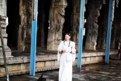 (RAHU TEMPLE) Tirunageswaram Naganathar Temple.  One of the temples associated with the nine planet elements, the Navagraha Stalas, and specifically Rahu.