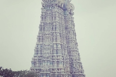 WhatsApp-Image-2020-01-03-at-23.25.34