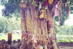 WhatsApp-Image-2020-01-03-at-23.36.22